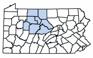 Es gebt Elk in Pennsylvaania. – There are Elk in Pennsylvania.