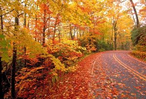 ‘Siss widder Schpotyaahr! – It’s autumn again!
